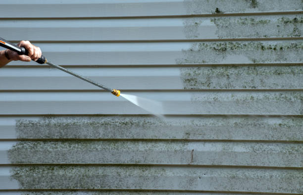 Best Roof Power Washing Services  in Saks, AL