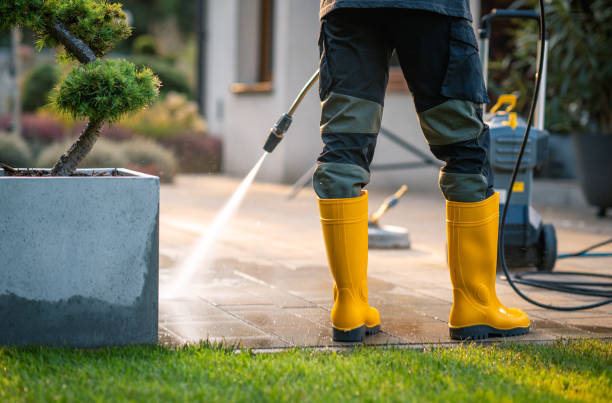 Best Roof Pressure Washing  in Saks, AL